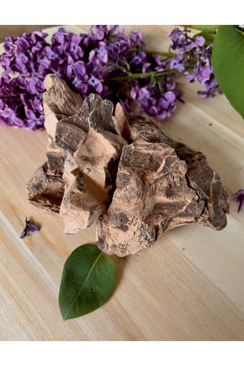 Kakao ceremonialne BIO prawdziwe z Peru criollo 500 g Przebudzenie