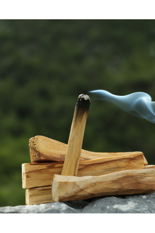 Palo Santo - Święte drzewo naturalne kadzidło rytualne