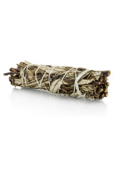 Naturalne kadzidło- yerba santa na drogi oddechowe