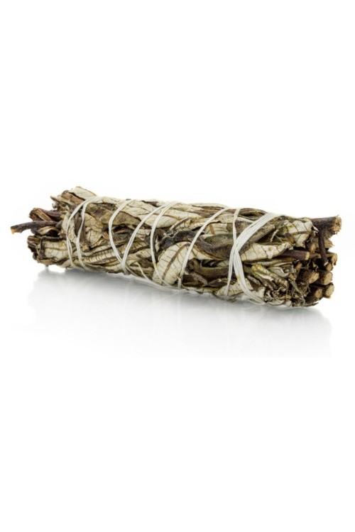 Naturalne kadzidło- yerba santa na drogi oddechowe