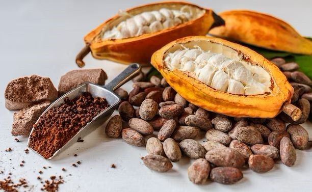 Pięć powodów, dla których pokochasz kakao ceremonialne (nawet jeśli jesteś totalnie początkująca)